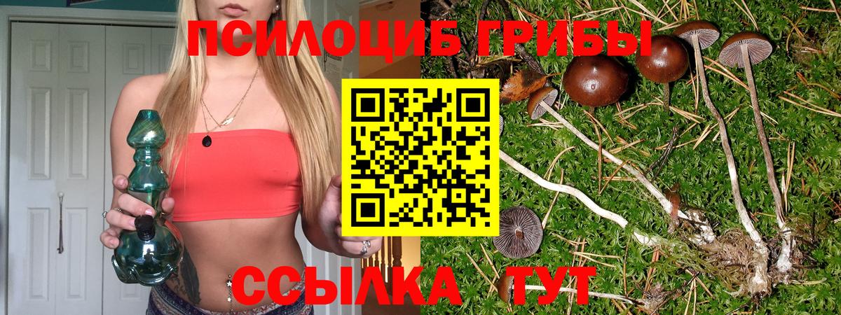 Псилоцибиновые грибы GOLDEN TEACHER Алейск