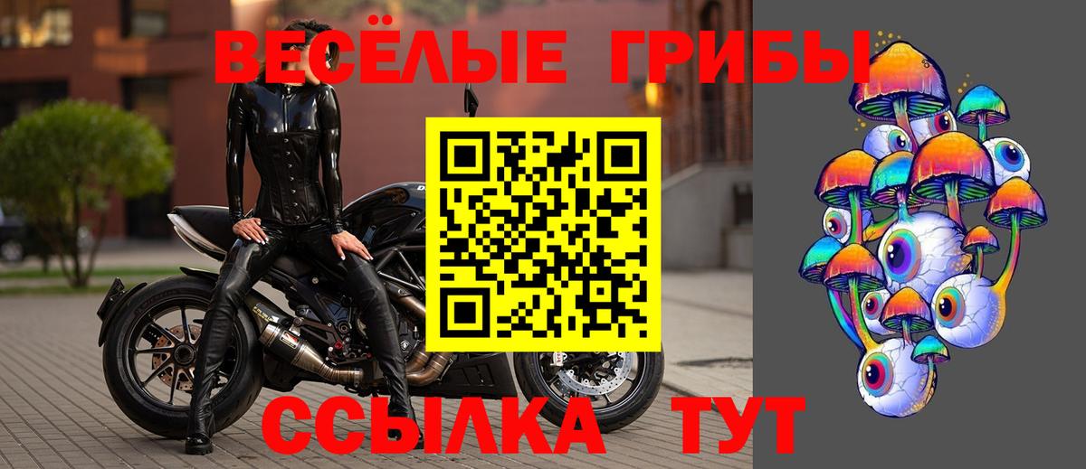 Псилоцибиновые грибы прущие грибы  где продают   Алейск  Псилоцибиновые грибы MAGIC MUSHROOMS  Вход с VPN 